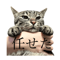 Chikane_20231001201540