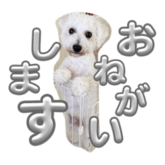 yayoi_20231001172255