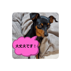 yokko_20231001224622