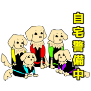 CHERIE_20231001235405