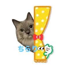 kana_20231001222258