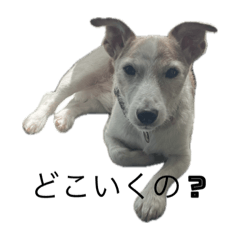 tsubaki_20231001225811