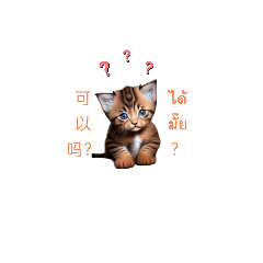 猫会说中文。:แมวพูดจีน