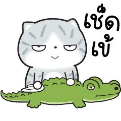 มันแกว มาดูแมวที่บ้านมัน