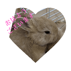 Cream_20231002090121