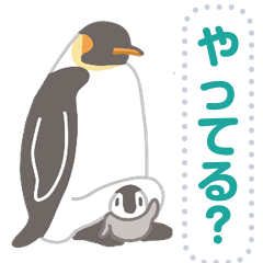 ペンギンたちの日常メッセージスタンプ