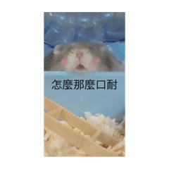 可愛的小倉倉（趴趴鼠）