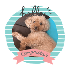 chisa_20231003003827