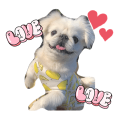 NOZOMI_20231002221524