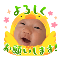 nobo_20231003103626