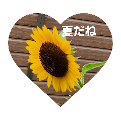 chisa_20231002173757