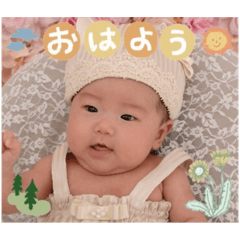 yayoi_20231002210305