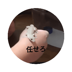 Ryuosi_20231002193627