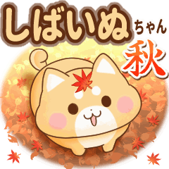Shiba Inu's autumn
