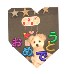 うーちゃんのスタンプ⭐︎