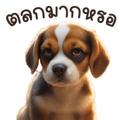 Beagle Dog GooD