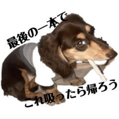 Sayuri_20231002234704