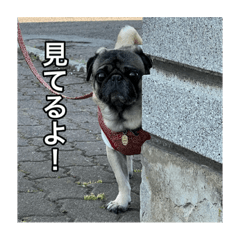 kero_20231003164627