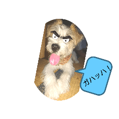 hana_20231003190607