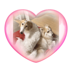 kanna.m_20231003200906