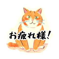 癒やしの茶色い猫さん