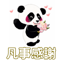 Peace and Joy of the Cute Panda