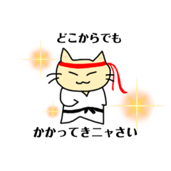 ファイティングねこねこ