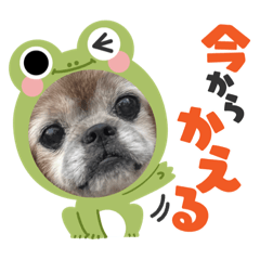 yuka_20231003212019