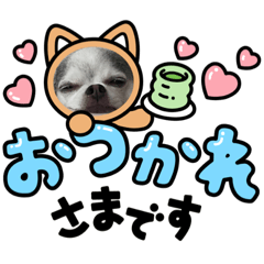 Yuka_20231003205528