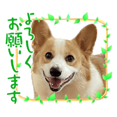 Ricky_20231003225132