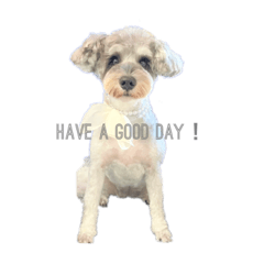 SHELLY_20231003181343