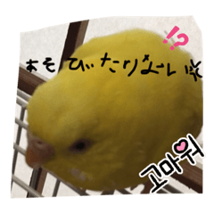 Kana_20231004132533