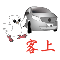 Driving life of a Playful Pigeon