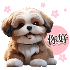 ChiZu Brown Dog (TWN)