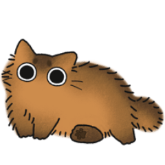 Somali chubby cat (No text)