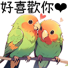 カップルの恋の鳥♡日記