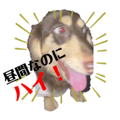 Sayuri_20231003220419