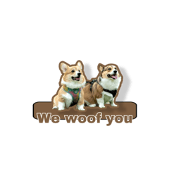 letlob.doggiecorgis.1