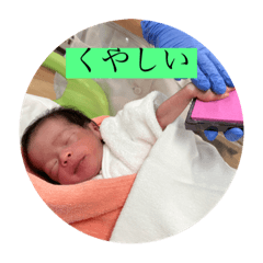 yayoi_20231005104221