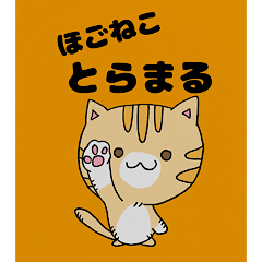 Protection Cat Sticker