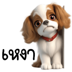 Fluffy Cavalier cute