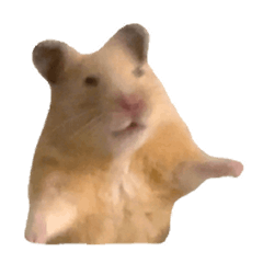 animation hamster kinkuma