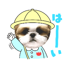 TOMOMI_20231004235557