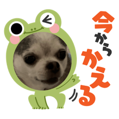 Yuka_20231004213249