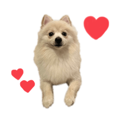 Hana_20231004221317