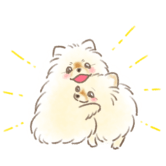 Pomeranian Pom & Happy