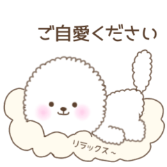 Bichon Frize is a cute dog.  message