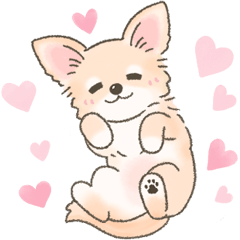 Cute Chihuahua message Sticker 40