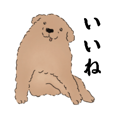 Nihonga Toy Poodle