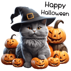 Cat grey Halloween